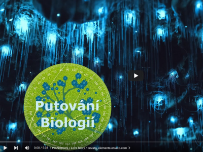 Tajemství bioluminiscence