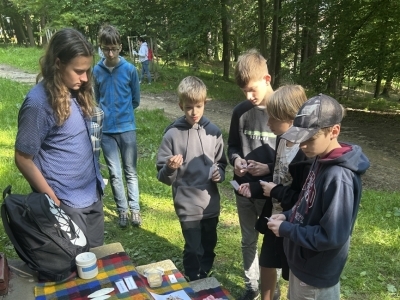 Projektový den v parku: Bezobratlí živočichové