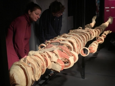 Exkurze 6.A do Prahy